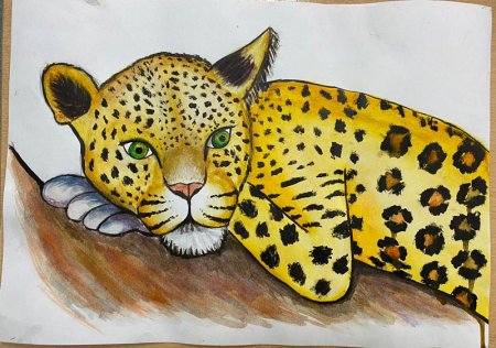 Сочинский национальный парк рисунок