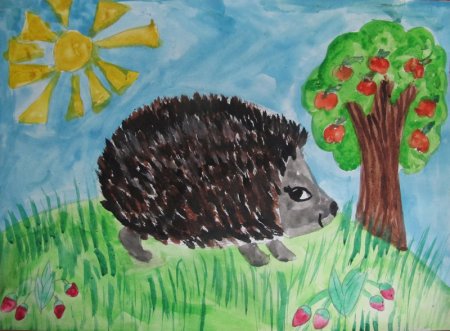 Рисунок на конкурс Сочинский национальный парк