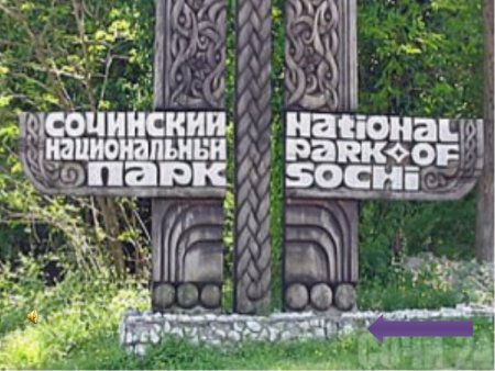 Сочинский национальный парк вывеска