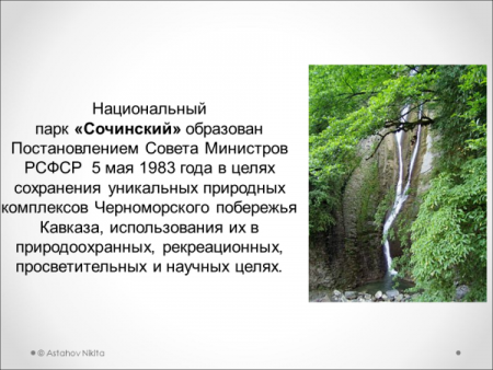 Сочинский национальный парк рисунки детей