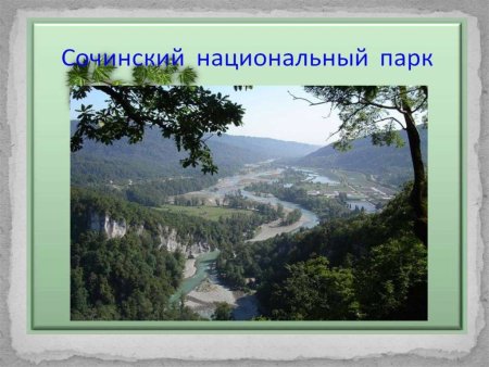 Национальный парк рисунок