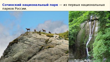 Сочинский национальный парк территория парка