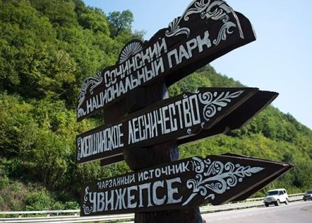 Национальный парк раскраска