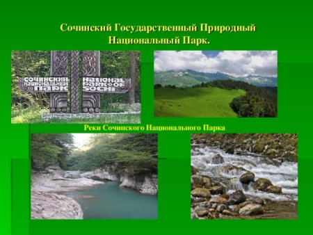 Проект национальные парки парк Сочинский