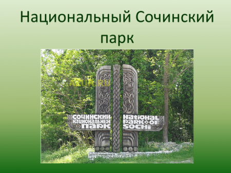 Логотипы национальных парков