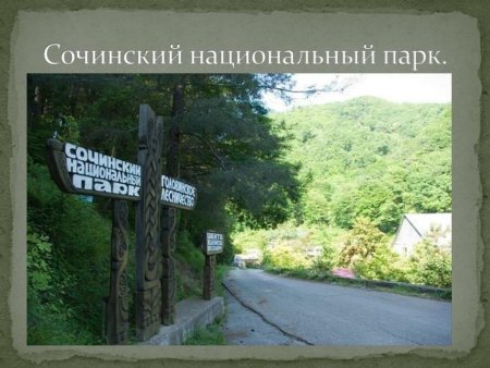 Воображаемое путешествие в национальный парк Сочинский
