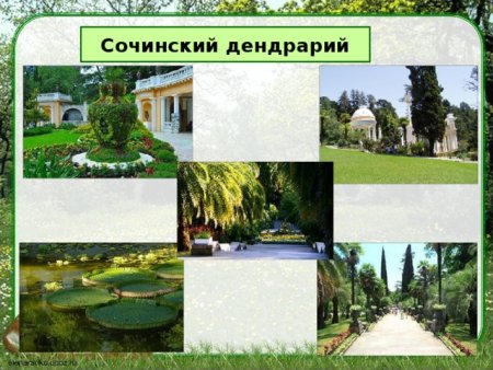 Сочинский национальный парк название