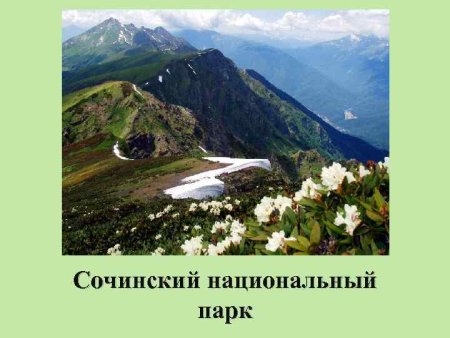 Сочинский национальный парк лесничества