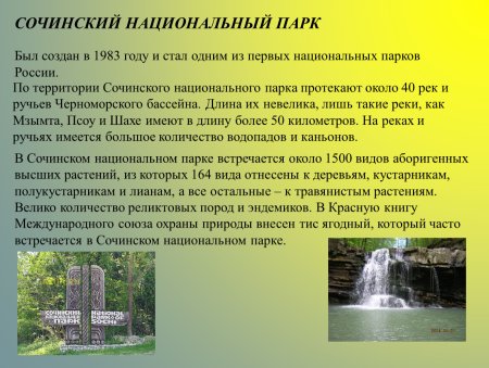 Эмблема сочинского национального парка