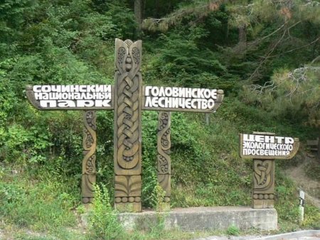 Сочинский национальный парк коллаж