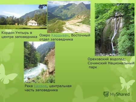 Сочинский национальный парк расположение на карте