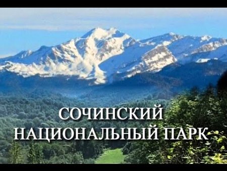 Сочинский национальный парк символ