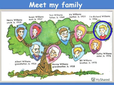 Проект по английскому языку 5 класс my Family