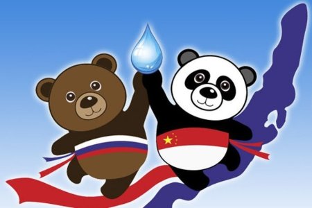 Панда и медведь Россия и Китай