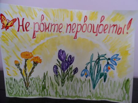 Плакат в защиту первоувет