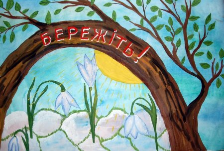 Рисунок на тему сохраним первоцветы