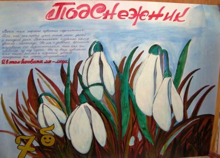 Плакат берегите первоцветы