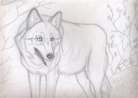 Красивые рисунки