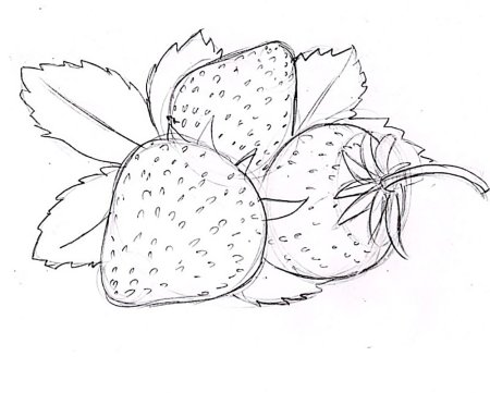 Клубника рисунок карандашом