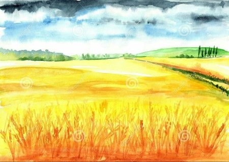 Пшеничное поле акварелью