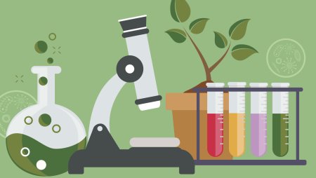 Научная иллюстрация