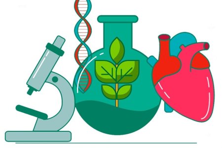 Химия и биология