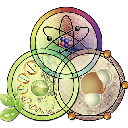 Физика химия биология