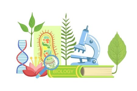 Раскраски по химии