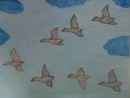 Рисование перелетные птицы старшая группа