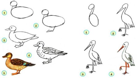 Коллективные работы детей в детском саду птицы