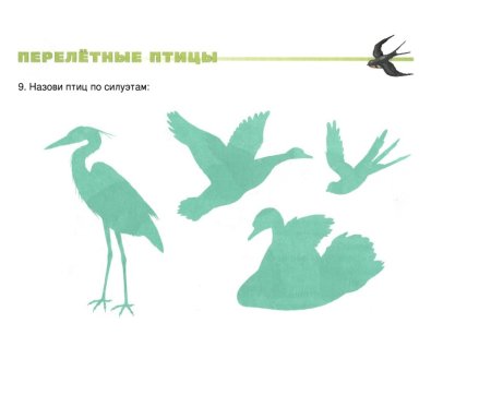 Мерелетные птицы старш. Гр