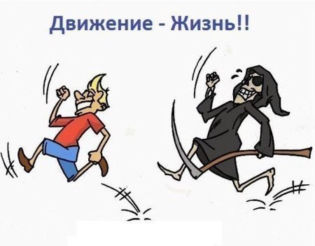 Движение жизнь юмор