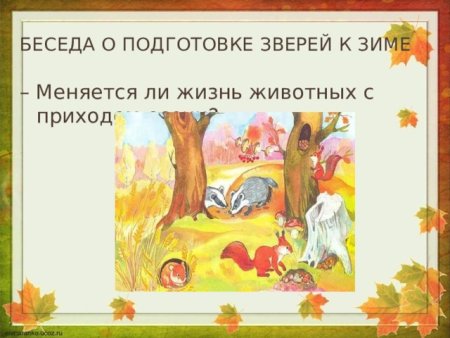 Лесные звери готовятся к зиме