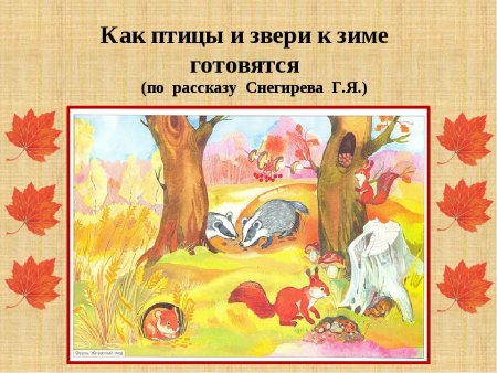 Растения и животные зимой