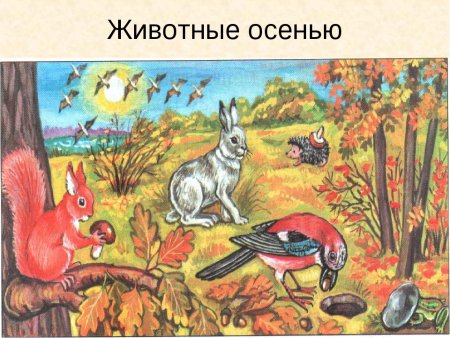 Животные осенью