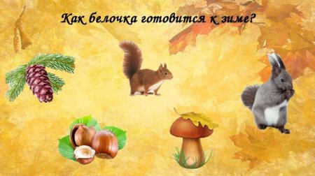 Медведь спит зимой