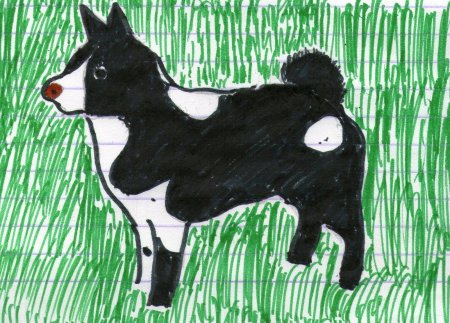 Домашние животные изо