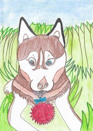 Рисунок на тему мой Четвероногий друг