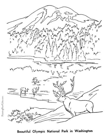 Заповедной природы раскраска