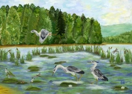 «Мир заповедной природы: новгородские Дубравы» реки Шелонь