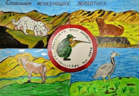 Охрана дикой природы плакат