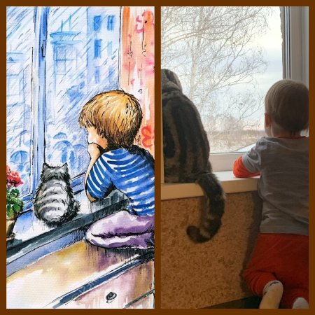 Мой Четвероногий друг