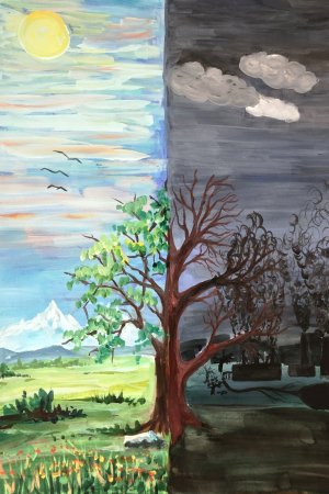 Рисунки природы