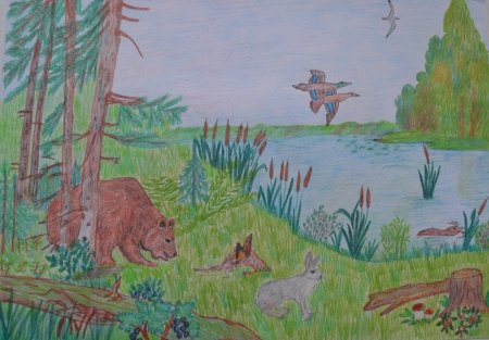 Рисунок на тему сохранение природы