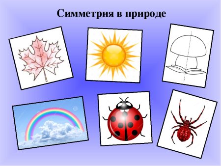 Симметрия вокруг нас