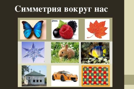 Симметрия вокруг нас