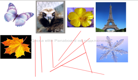 Симметричные фигуры вокруг нас