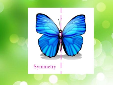 Симметрия вокруг нас презентация