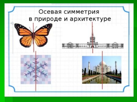 Осевая симметрия в природе и архитектуре