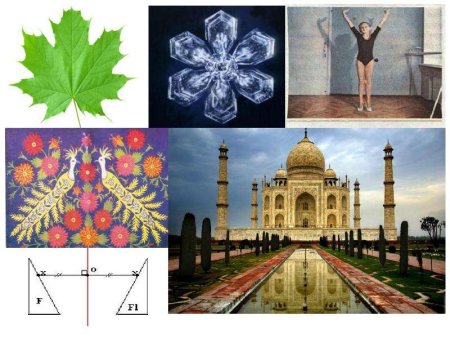 Симметрия вокруг нас